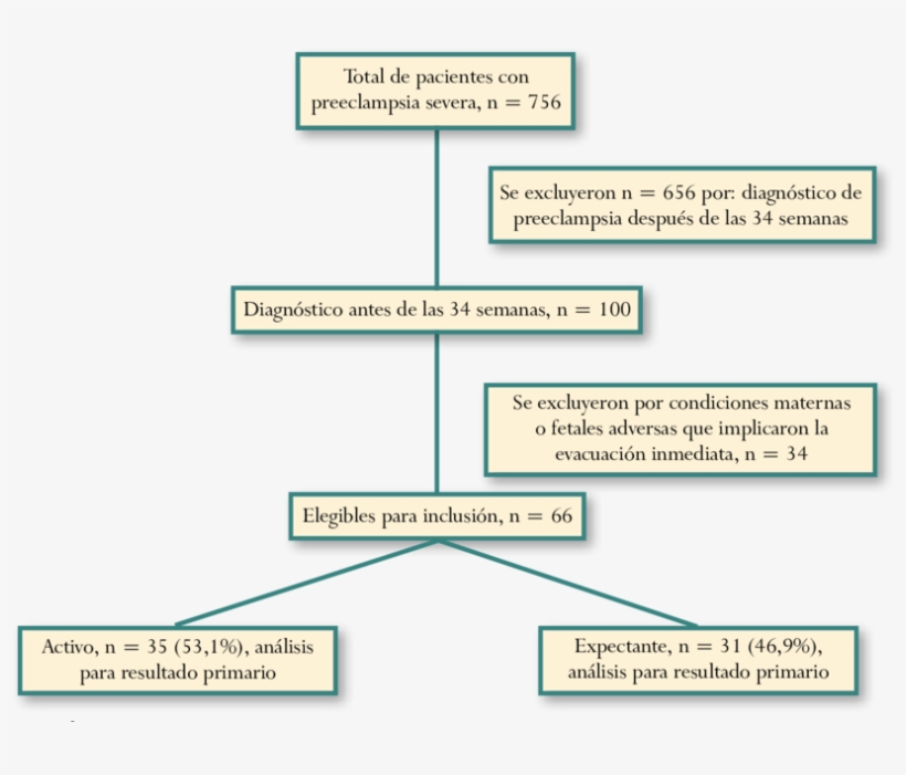 Selección De Pacientes Con Diagnóstico De Preeclampsia, transparent png #6506733