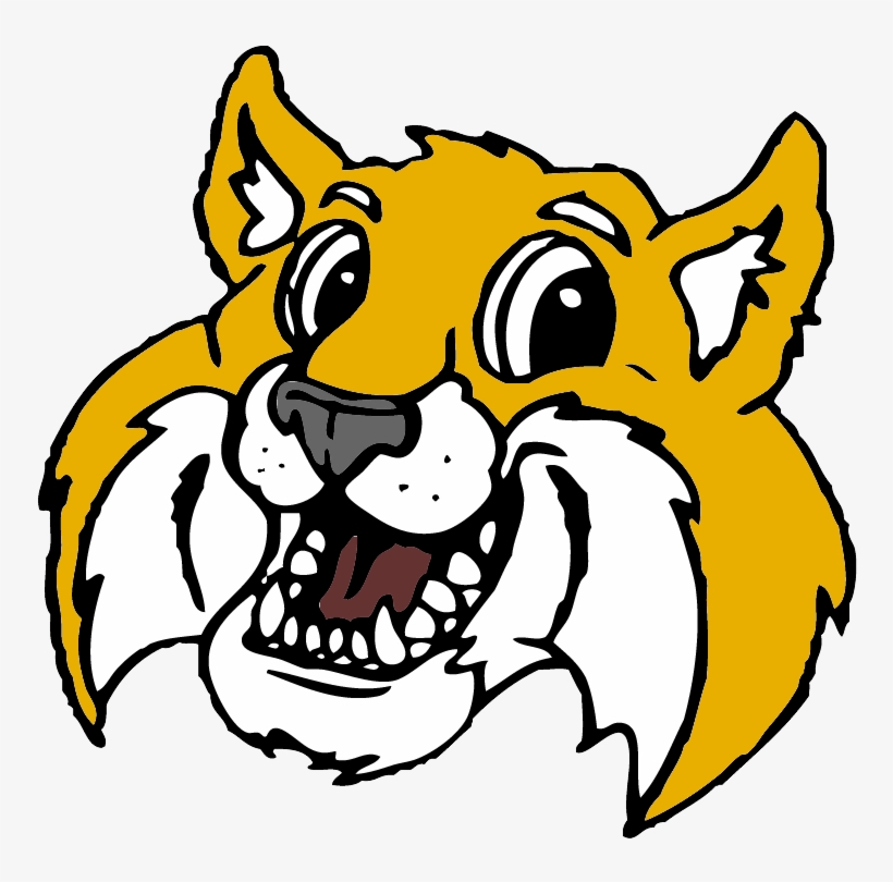 Heather Marek, transparent png #6507934