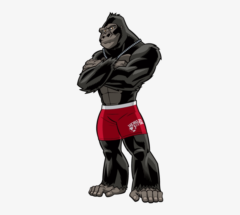 Personal Training From World Gym Malaga, transparent png #6509740