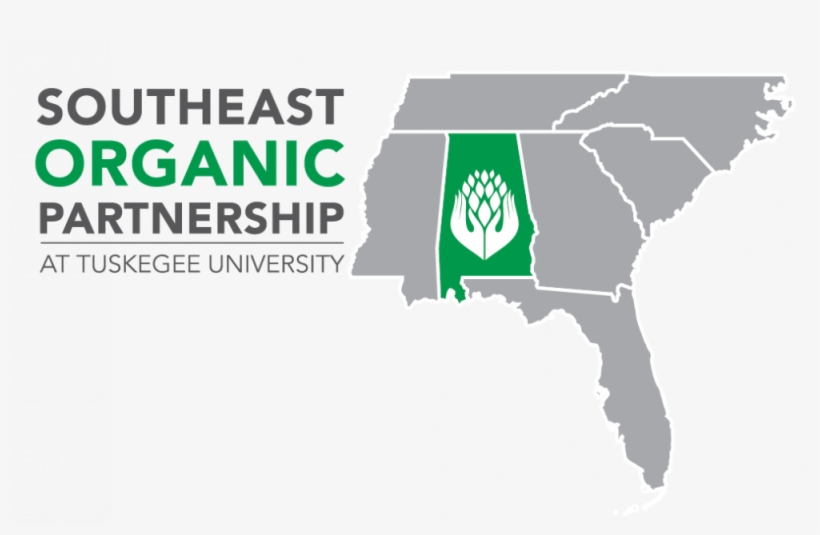 Welcome, transparent png #6513642