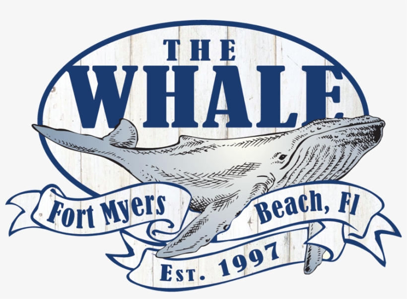 The Beached Whale, transparent png #6523748