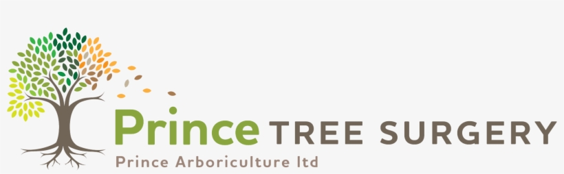 Prince Arboriculture Ltd, transparent png #6525046