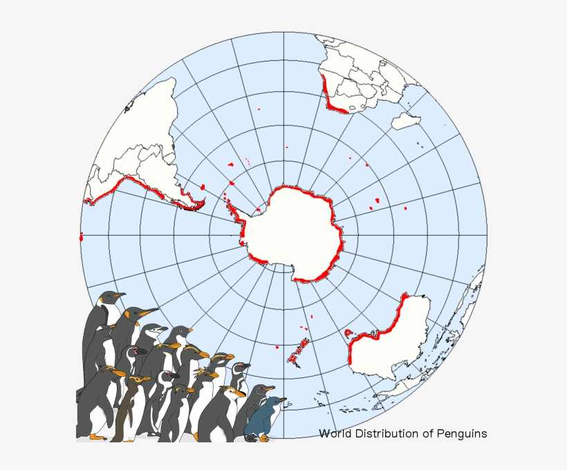 Penguins, transparent png #6526165