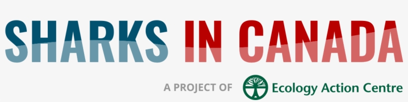 Sharks In Canada Eac, transparent png #6526555