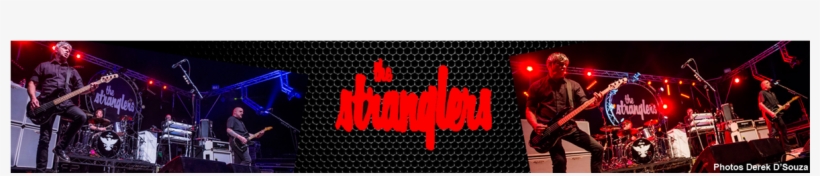 Home - Merchandise, transparent png #6532269