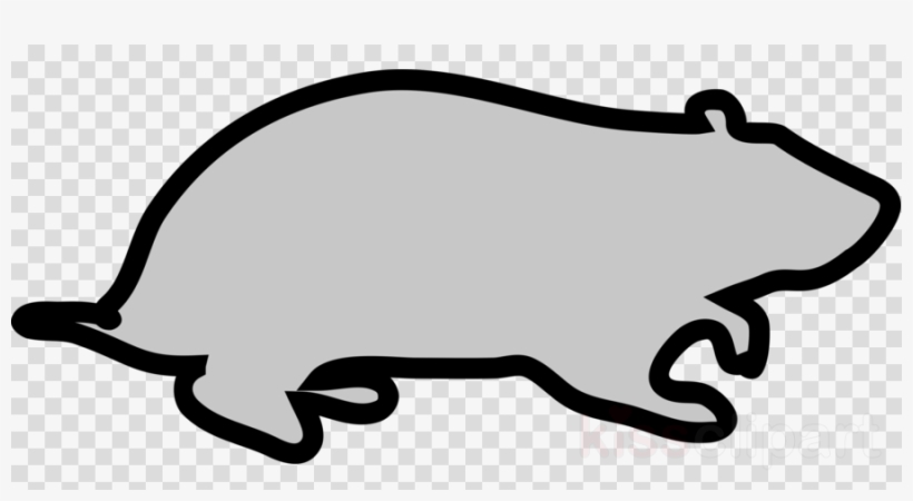 Clip Art Clipart Hamster Cat Clip Art, transparent png #6532756