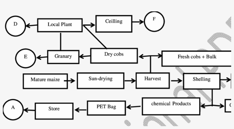 Maize Storage Technologies Identified, transparent png #6534017