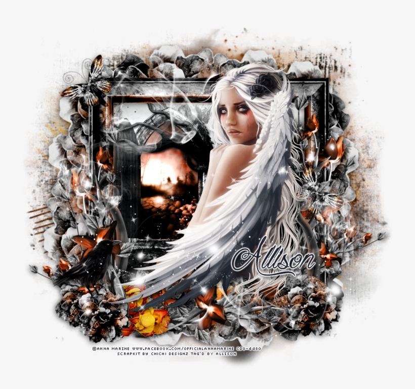 Tag Show Off, transparent png #6534682