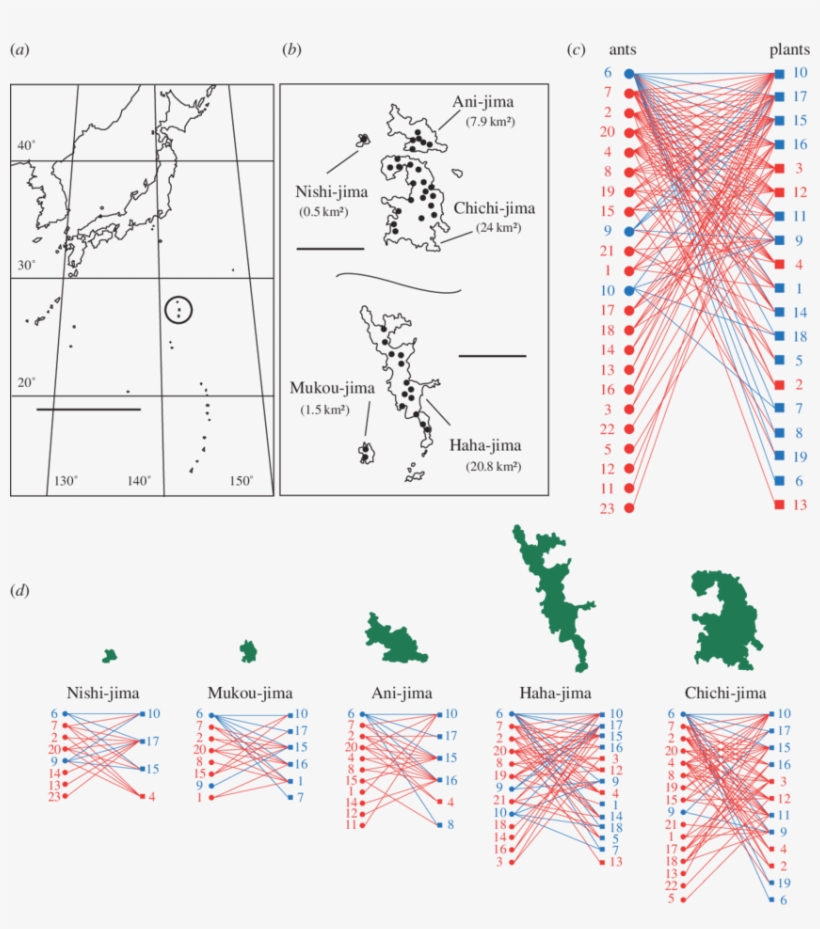 Study Sites On Chichi Jima, Ani Jima, Nishi Jima, Hahajima, transparent png #6535179