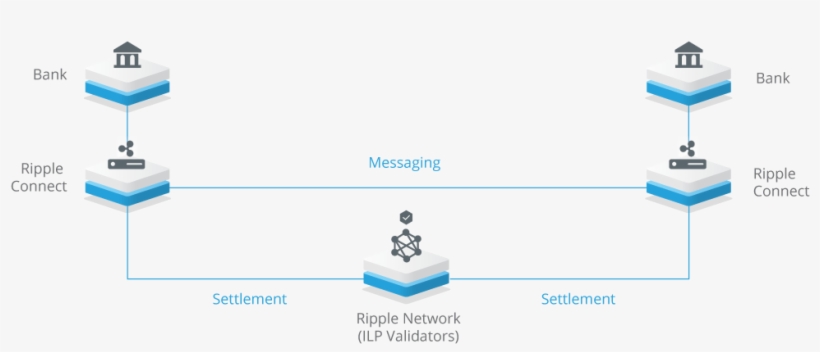 According To Ripple, transparent png #6536149