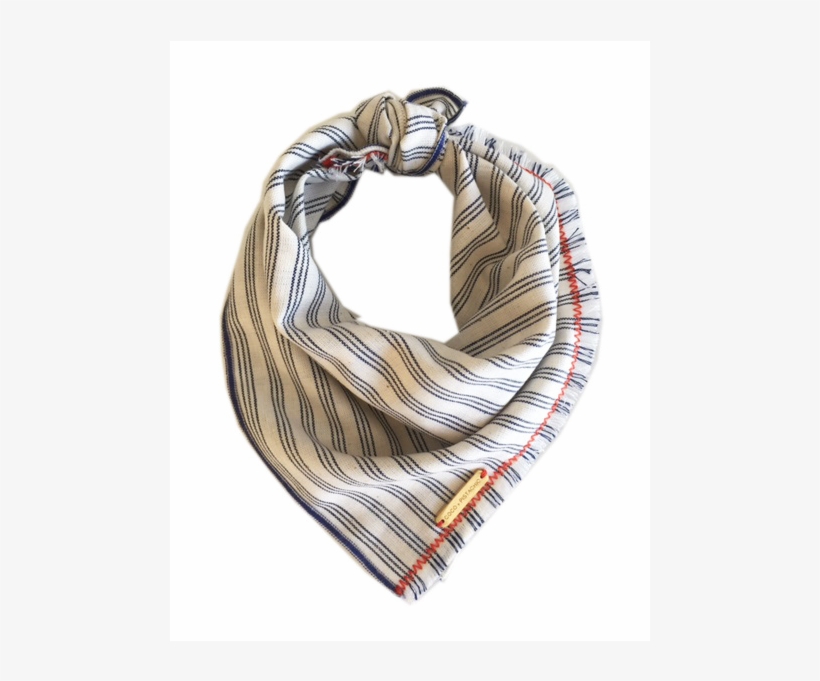 Accessorize Your Dog For Your Hike Or Camping Trip, transparent png #6537363