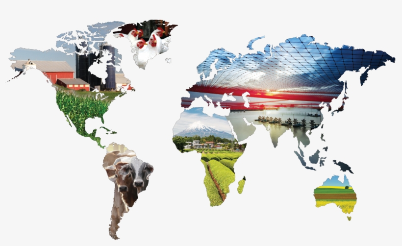 Investing In Global Diversity, transparent png #6543124