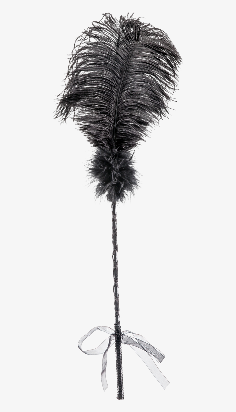 La Vie Nue Showgirl Feather Tickler, transparent png #6543758
