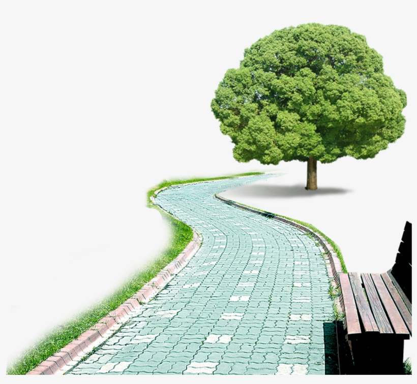 Park Png Clipart Background, transparent png #6546766