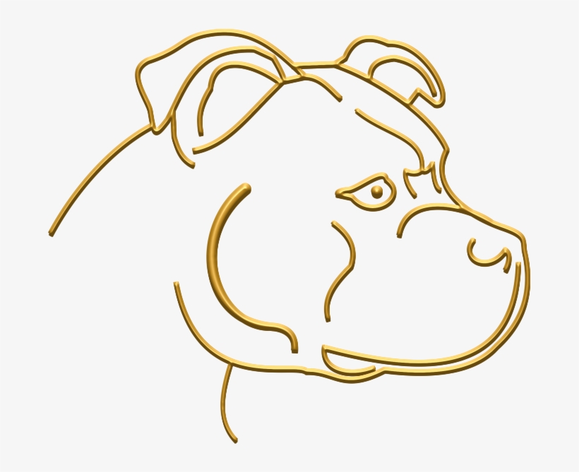 I Have Achieved Qualifications In A Number Of Courses,, transparent png #6547414