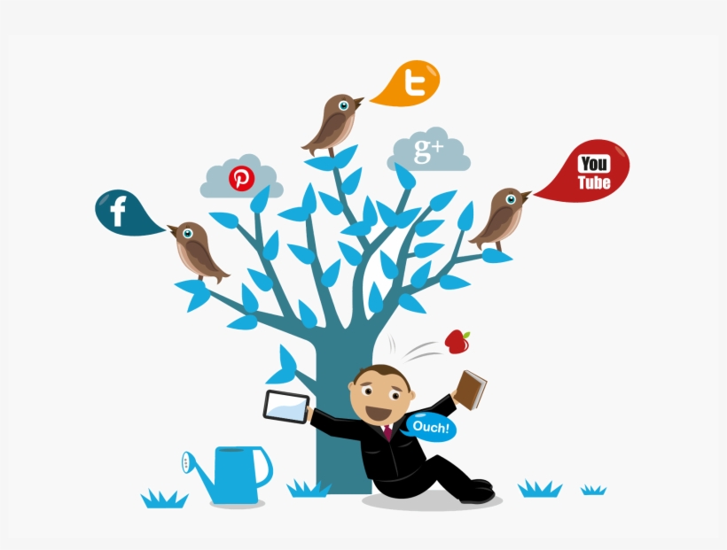 Always Provide Professional And Reputable Social Media, transparent png #6547709