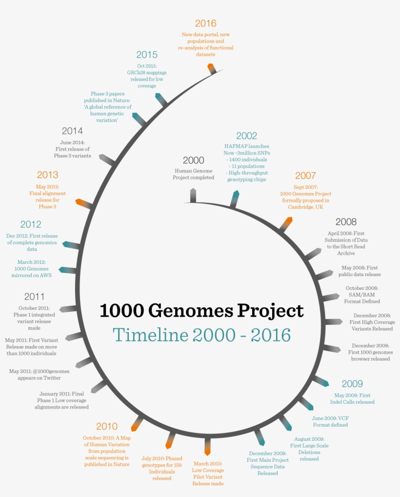 1000 Timeline Portrait, transparent png #6548637