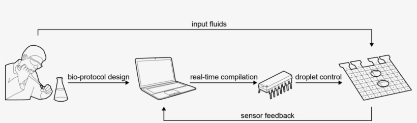 Online Synthesis For Error Recovery In Digital Microfluidic, transparent png #6549423
