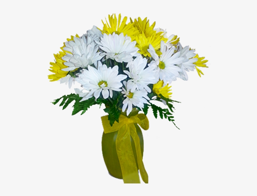 Pick A Daisy, transparent png #6550915