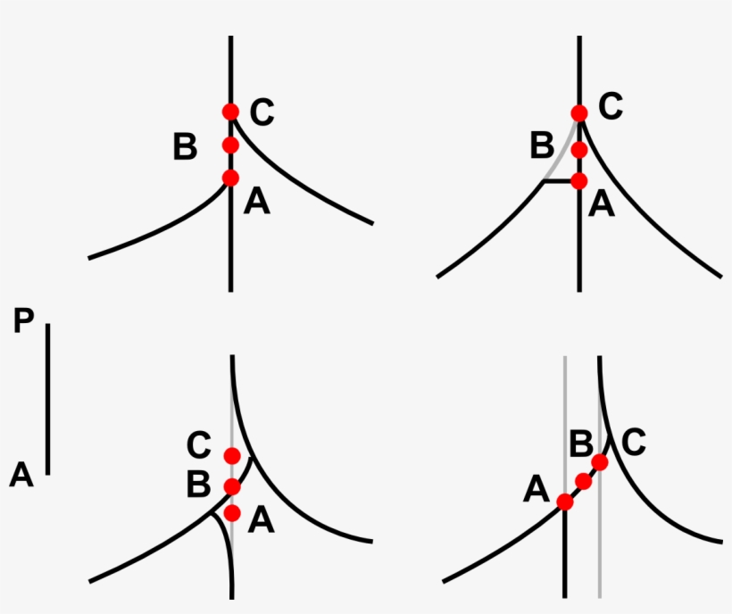 Realistic Bregmas, transparent png #6551142