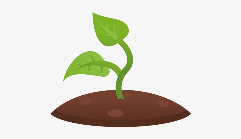 Seedling Clipart Plant Shoot - Free Transparent PNG Download - PNGkey