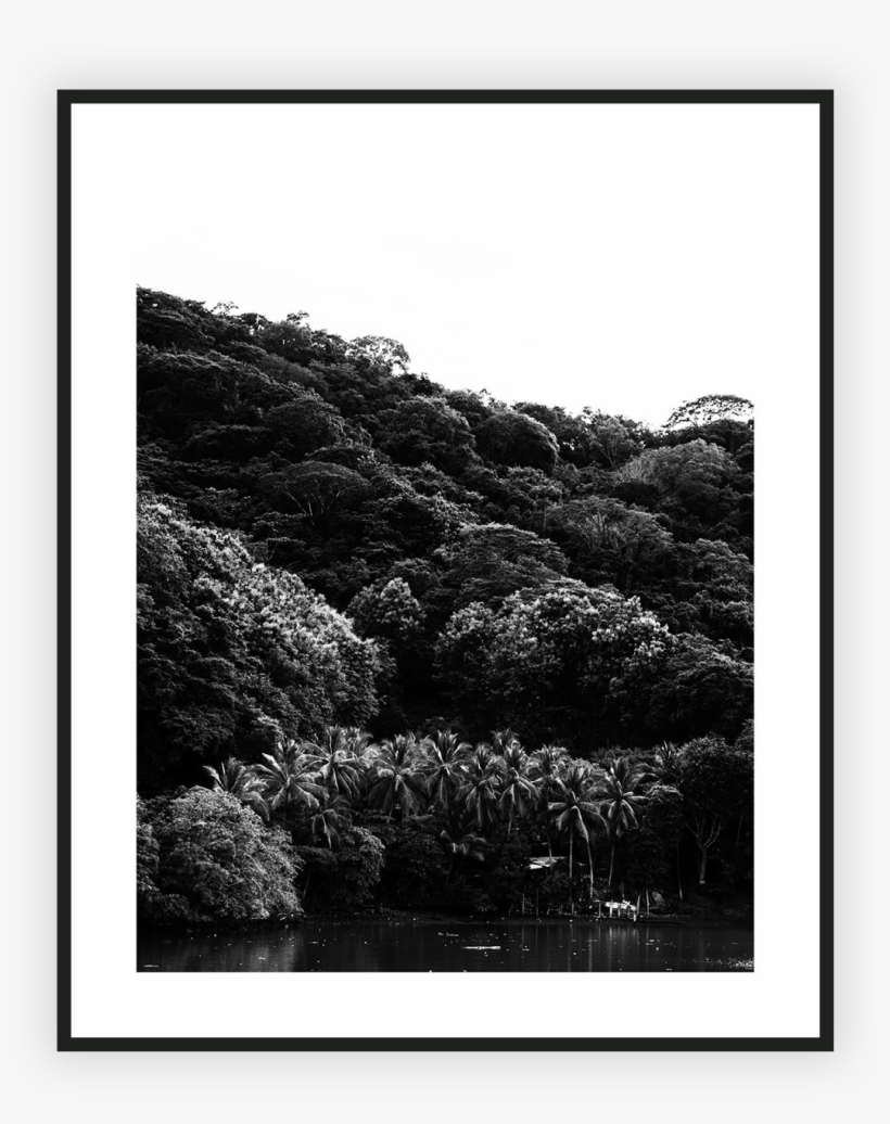 Home/nature/costa Rica Forrest, transparent png #6554025