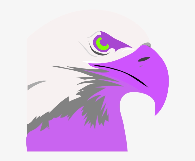 Eagle Clipart Feather, transparent png #6556611