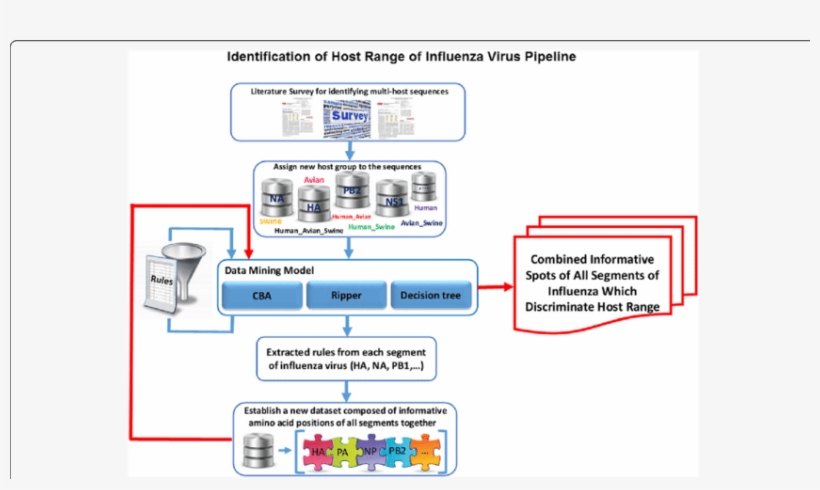 The Pipeline Of Identification Influenza Host Ranges, transparent png #6558031