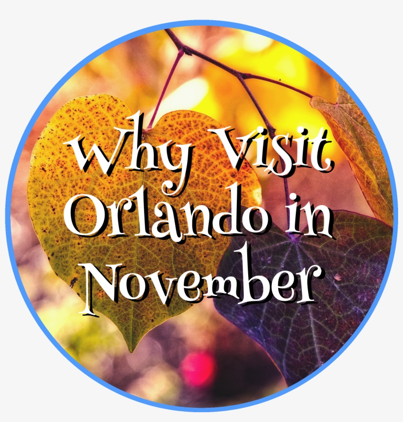 November Png, transparent png #6559111