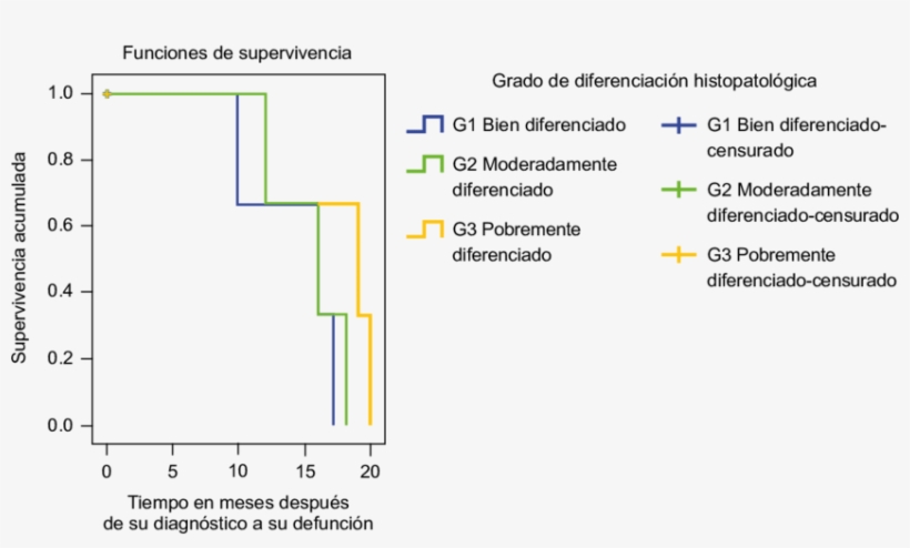 Supervivencia A 60 Meses De Pacientes Con Cáncer De, transparent png #6561849