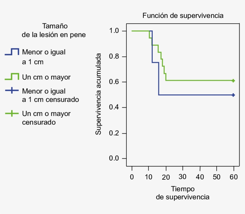Supervivencia De Pacientes Con Cáncer De Pene Según, transparent png #6562350