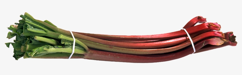 Automatic Rubber Band Machine, transparent png #6563251