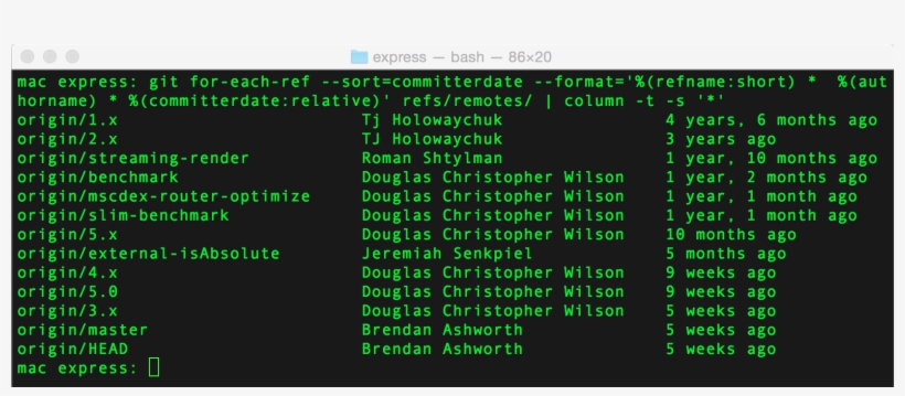 Fancy Branch View, transparent png #6566807