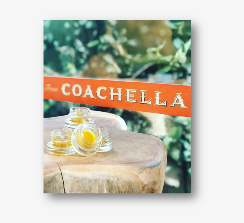 “coachella™ Premium Brand Products Is The First And, transparent png #6566917