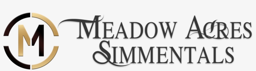 Bulls Png, transparent png #6568957