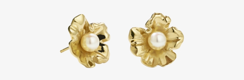 Gold Button Png, transparent png #6569728