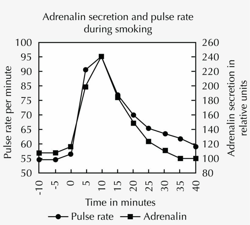 Smoking Directly Causes An Increase In The Basal Metabolic, transparent png #6570275