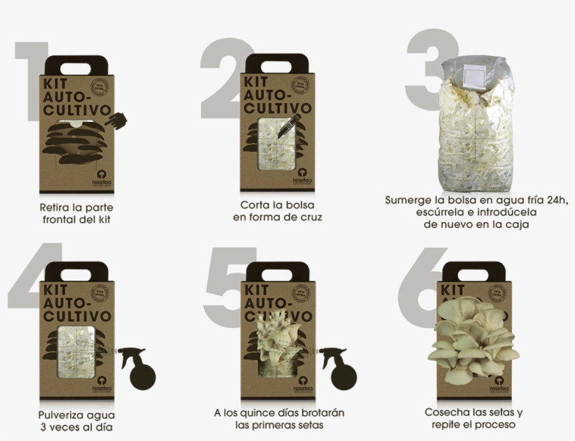 Instrucciones, transparent png #6571031