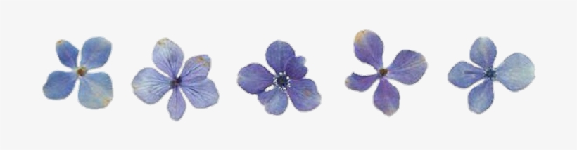 25 Images About Emoji On We Heart It, transparent png #6572145