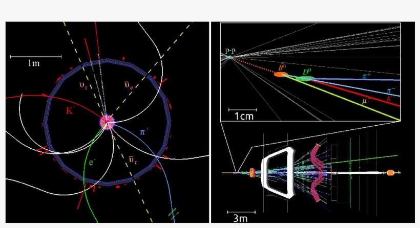 Show More Plots, transparent png #6572742