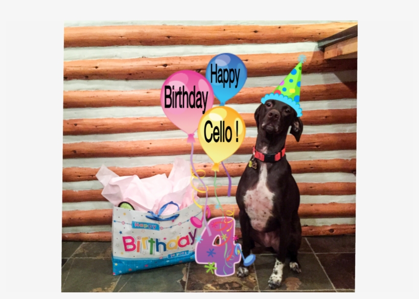 Bday, transparent png #6572973