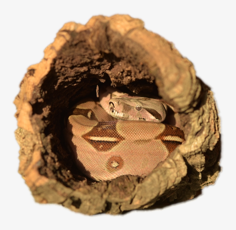 Enclosures, transparent png #6573519