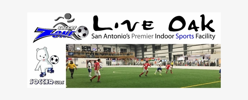 Live Oak Png, transparent png #6575315