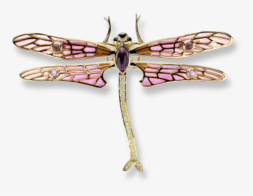 Nicole Barr Designs 18 Karat Gold Dragonfly Brooch-pink, transparent png #6576358
