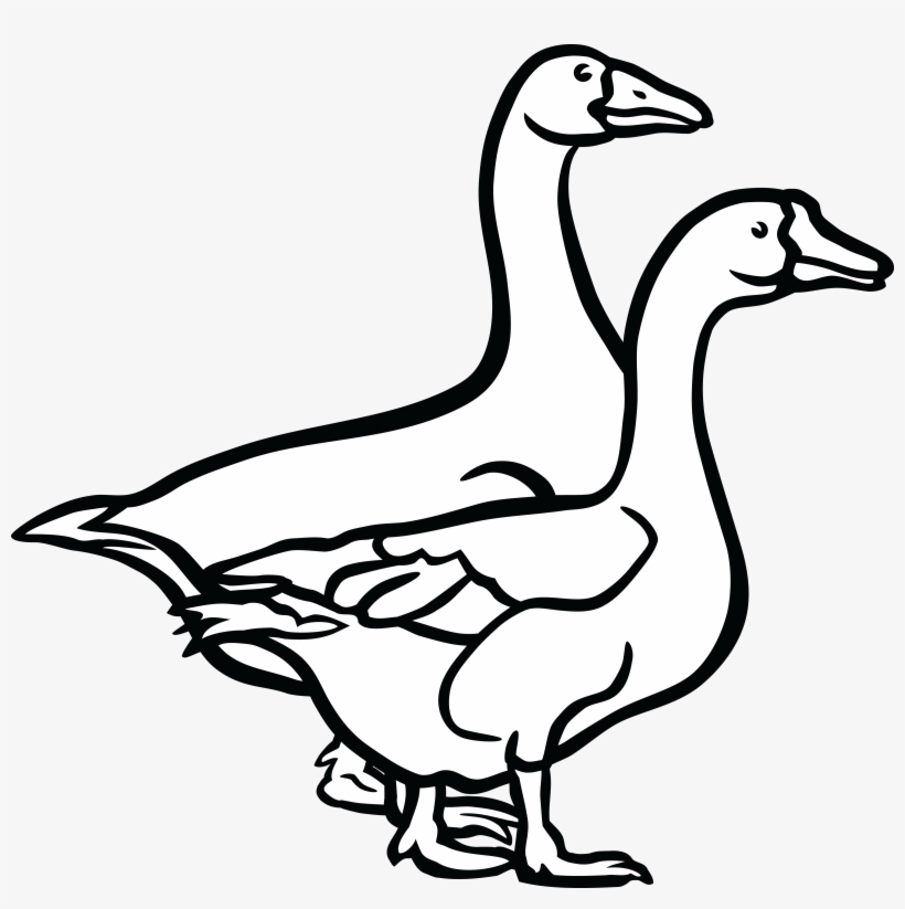 , ,, transparent png #6579471