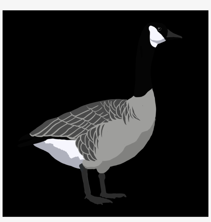 Geese Png, transparent png #6579557