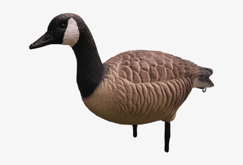 Eva Plastic Goose Decoys, transparent png #6579682