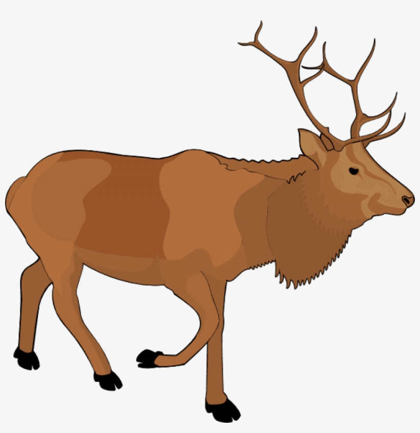 Free Png Moose Png Images Transparent, transparent png #6580827