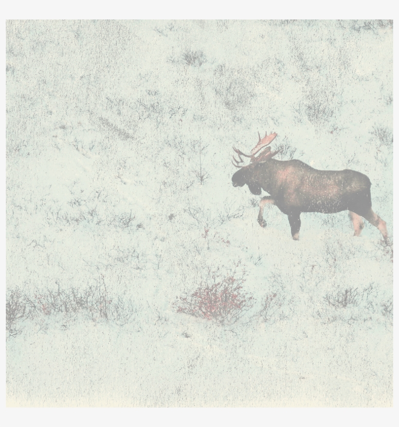 Home About Video Gallery Climate, transparent png #6581393