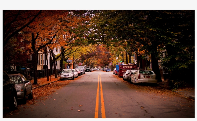 Score 50%, transparent png #6581522